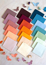 Load image into Gallery viewer, Signature PURE Solids Capsule Collection