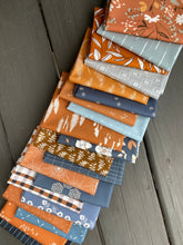 Load image into Gallery viewer, Mountain Sunset Fat Quarter Bundle
